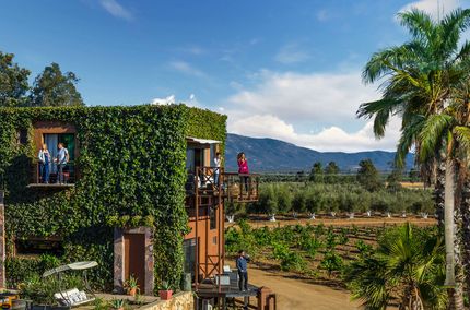 Hotel Boutique Valle de Guadalupe Ensenada B.C. M xico